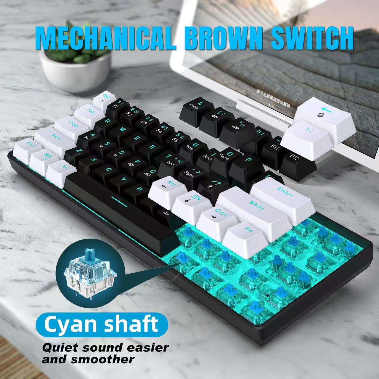 60 % mechanische Tastatur, Gam – Gaming Keyboard Blue Switches Bewertung und Preis